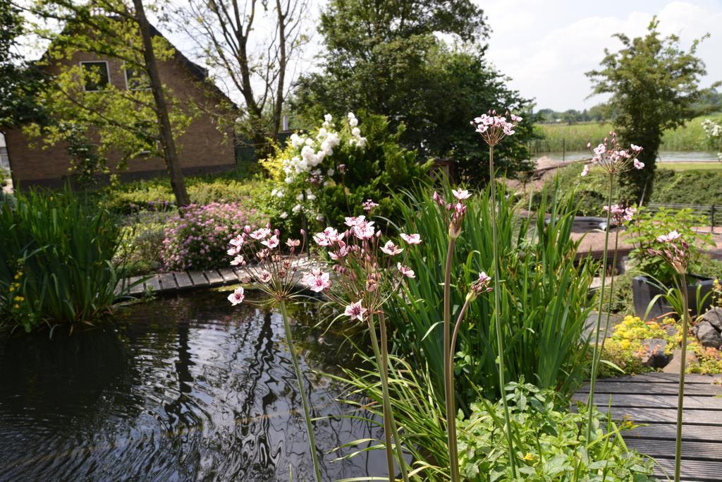Guest House Aan De Hollandse Ijssel Montfoort Exterior photo